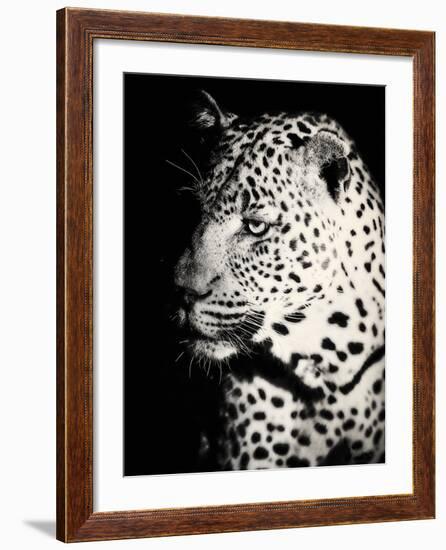 Night Leopard-Wink Gaines-Framed Giclee Print