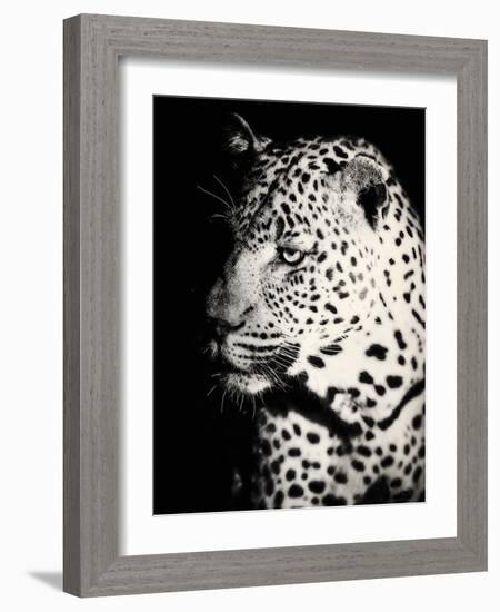Night Leopard-Wink Gaines-Framed Giclee Print