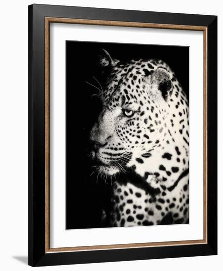 Night Leopard-Wink Gaines-Framed Giclee Print