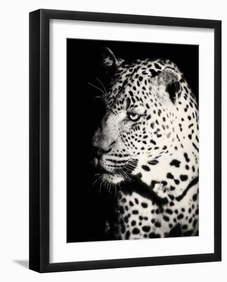 Night Leopard-Wink Gaines-Framed Giclee Print