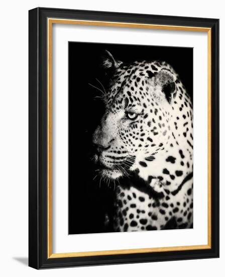 Night Leopard-Wink Gaines-Framed Giclee Print