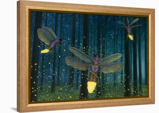 Night Light Flight-James W. Johnson-Framed Premier Image Canvas