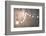 Night Lights 3-null-Framed Photographic Print