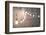 Night Lights 3-null-Framed Photographic Print