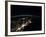 Night Lights from the Philadelphia-New York City-Boston Corridor-null-Framed Photo