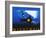 Night Mail-Pat Keely-Framed Art Print