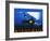 Night Mail-Pat Keely-Framed Art Print