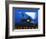 Night Mail-Pat Keely-Framed Art Print