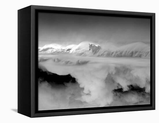 Night... Mare-Thomas Barbey-Framed Premier Image Canvas