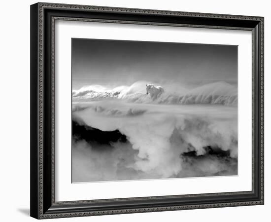 Night... Mare-Thomas Barbey-Framed Giclee Print