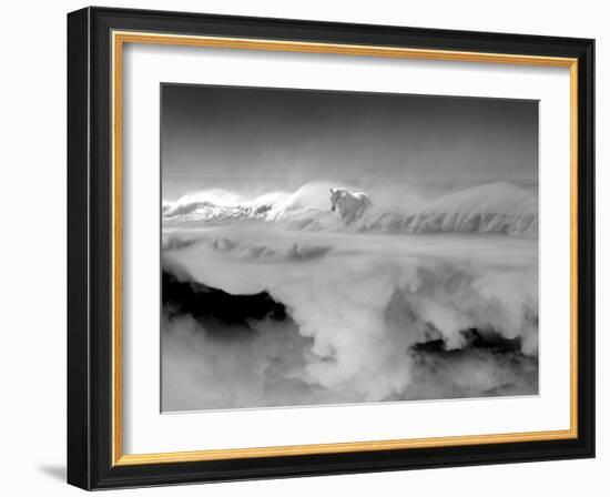 Night... Mare-Thomas Barbey-Framed Giclee Print