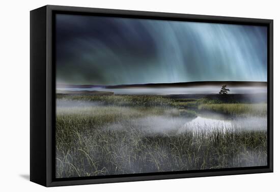 Night Marsh-James McLoughlin-Framed Premier Image Canvas