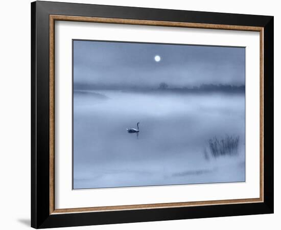 Night Moods-Adrian Campfield-Framed Giclee Print