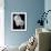 Night Orchid II-Tony Koukos-Framed Giclee Print displayed on a wall