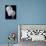 Night Orchid II-Tony Koukos-Mounted Giclee Print displayed on a wall