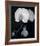 Night Orchid III-Tony Koukos-Framed Giclee Print