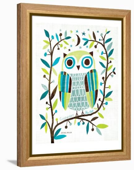 Night Owl II-Michael Mullan-Framed Stretched Canvas