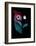 Night Owl-Michael Buxton-Framed Art Print