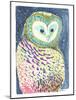 Night Owl-Kerstin Stock-Mounted Art Print