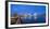 Night panoramic view of the Oslo Opera House, frozen bay and new business quarter, Oslo, Norway, Sc-Mykola Iegorov-Framed Premium Photographic Print