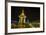 Night Photograph of the Statue of Norodom Sihanouk, Phnom Penh, Cambodia, Indochina-Michael Nolan-Framed Photographic Print