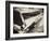 Night Rider II-Susan Bryant-Framed Photographic Print