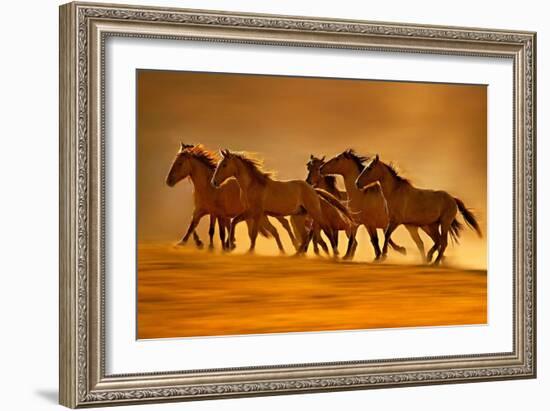 Night Runners-Lisa Dearing-Framed Photographic Print