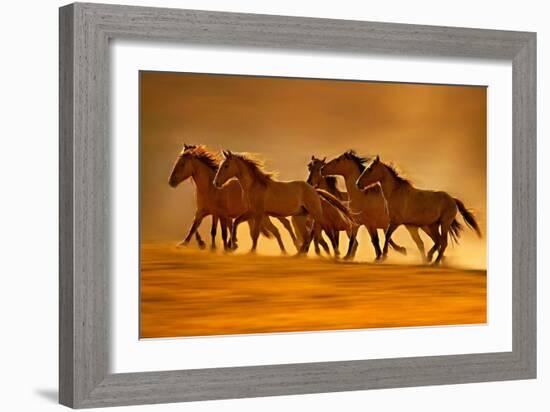 Night Runners-Lisa Dearing-Framed Photographic Print