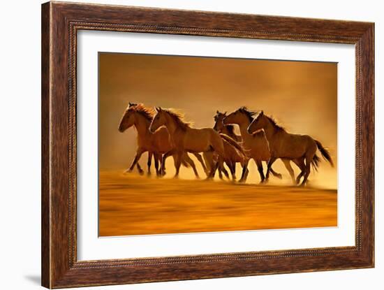 Night Runners-Lisa Dearing-Framed Photographic Print