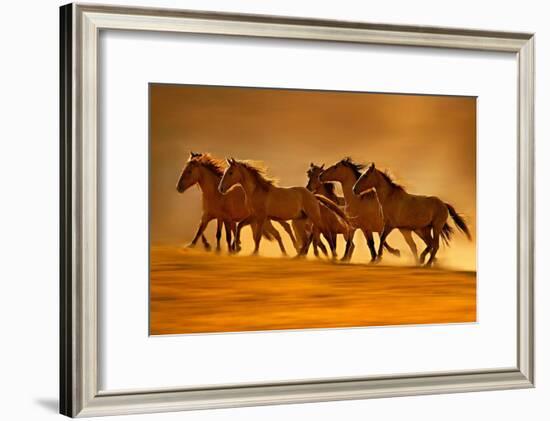 Night Runners-Lisa Dearing-Framed Photographic Print