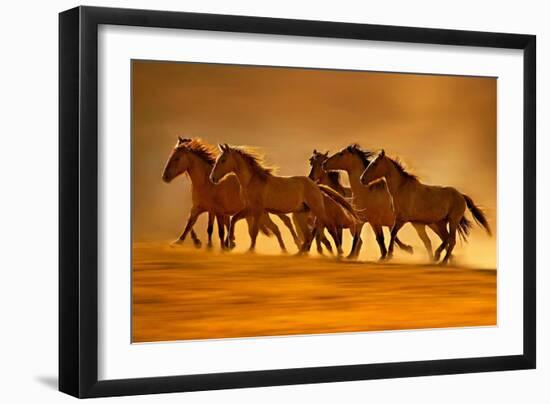 Night Runners-Lisa Dearing-Framed Photographic Print