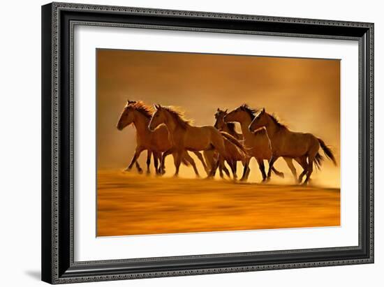 Night Runners-Lisa Dearing-Framed Photographic Print