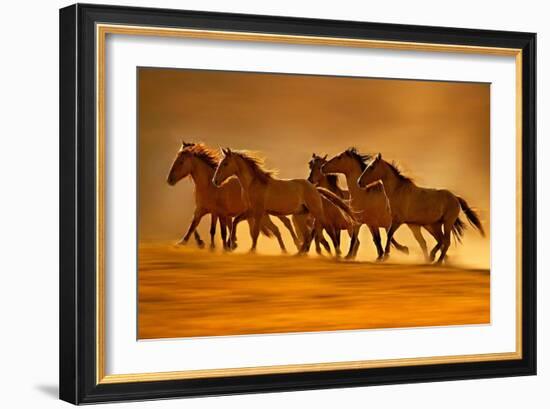 Night Runners-Lisa Dearing-Framed Photographic Print