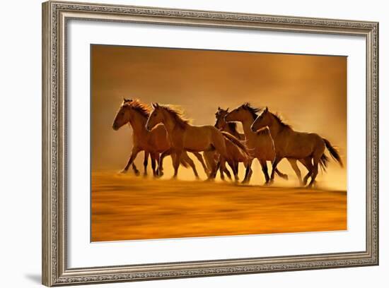 Night Runners-Lisa Dearing-Framed Photographic Print