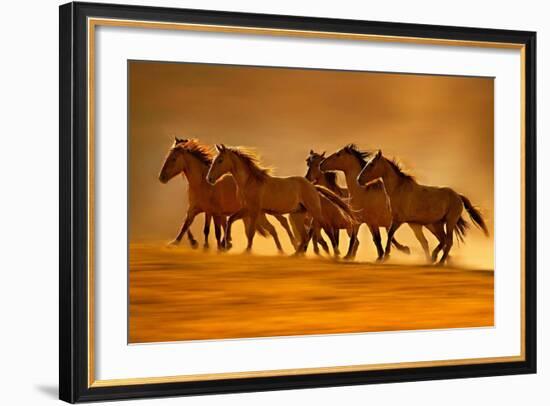 Night Runners-Lisa Dearing-Framed Photographic Print