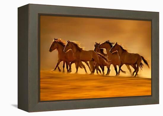 Night Runners-Lisa Dearing-Framed Premier Image Canvas