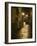 Night Scene, Santiago De Compostela, Galicia, Spain-R H Productions-Framed Photographic Print