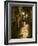 Night Scene, Santiago De Compostela, Galicia, Spain-R H Productions-Framed Photographic Print