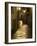 Night Scene, Santiago De Compostela, Galicia, Spain-R H Productions-Framed Photographic Print