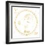 Night Sky Aires White and Gold-Sara Zieve Miller-Framed Art Print