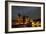 Night Sky, Australia-Alex Cherney-Framed Photographic Print