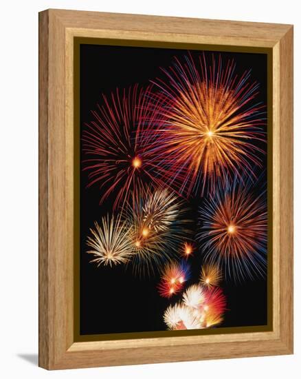 Night Sky Filled with Fireworks-Bill Ross-Framed Premier Image Canvas