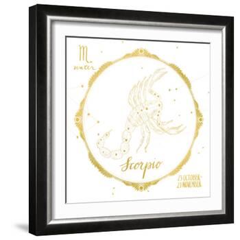Night Sky Scorpio White and Gold-Sara Zieve Miller-Framed Art Print