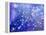 Night Sky-Margaret Coxall-Framed Premier Image Canvas