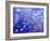 Night Sky-Margaret Coxall-Framed Giclee Print