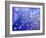 Night Sky-Margaret Coxall-Framed Giclee Print