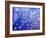 Night Sky-Margaret Coxall-Framed Giclee Print