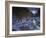 Night Stalker-Bruce Dumas-Framed Giclee Print