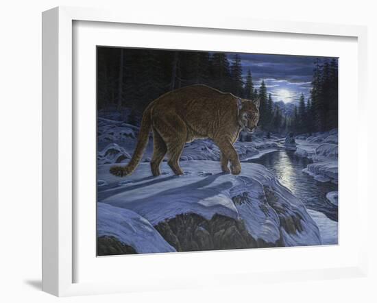 Night Stalker-Bruce Dumas-Framed Giclee Print