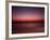 Night Surfer-Josh Adamski-Framed Photographic Print